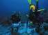 Fluorometro subaquático walz-diving-pam